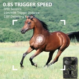 olimpere.com- HuntingCamera