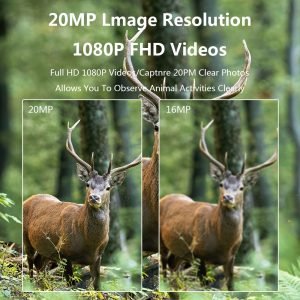 olimpere.com- HuntingCamera