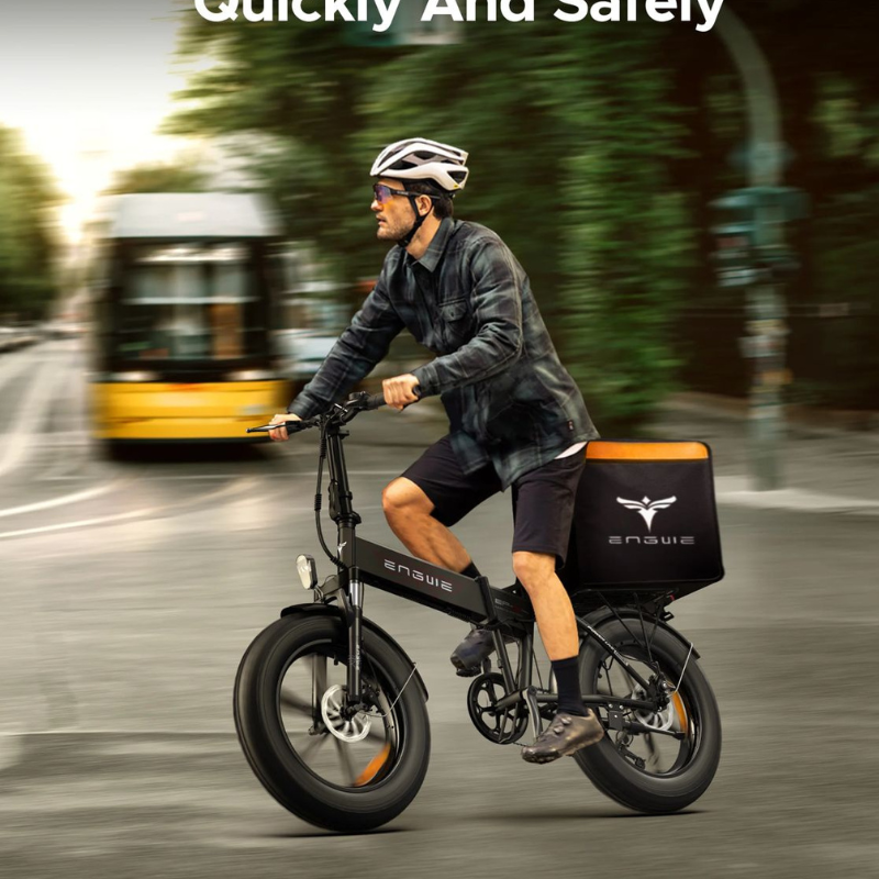 Bicikleta Elektrike me palosje 750w (3)