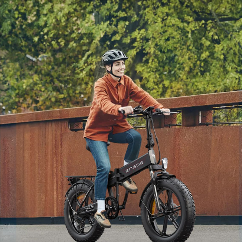 Bicikleta Elektrike me palosje 750w 7