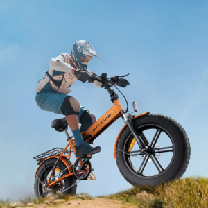 Bicikleta Elektrike me palosje 750w (8)