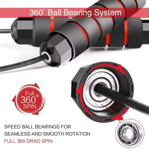 Litar për Kërcim 1